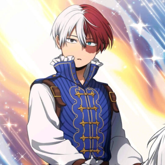 Shoto Todoroki