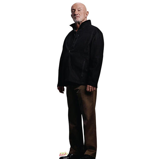 Mike Ehrmantraut