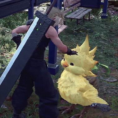 Chocobo