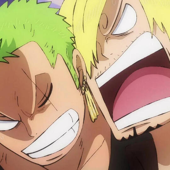 Zoro & Sanji