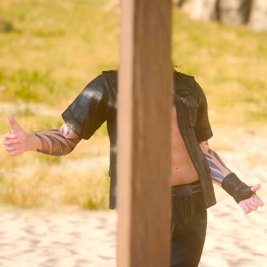 Gladiolus Amicitia